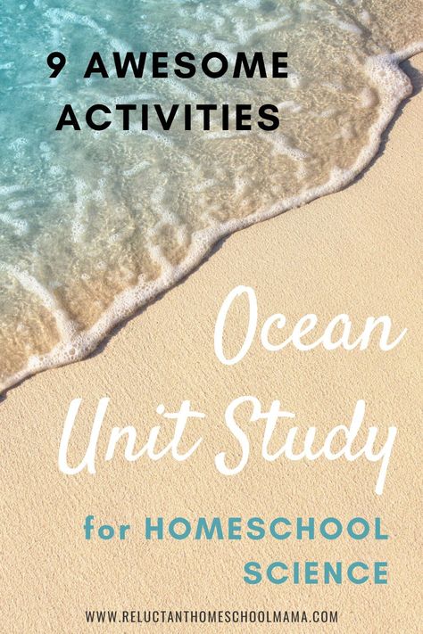 Marine Biology Homeschool, Hawaii Unit Study For Kids, Homeschool Ocean Unit Study, Ocean Homeschool Activities, Ocean Homeschool Unit, Marine Biology Unit Study, Ocean Activities Elementary, Ocean Homeschool, Ocean Kindergarten