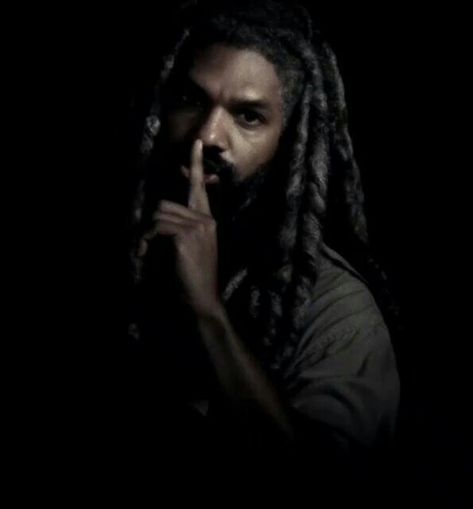 Ezekiel Twd, Twd Pfp, The Walking Dead Comics, Khary Payton, King Ezekiel, Twd Memes, Best Tv Shows, Best Tv, Walking Dead