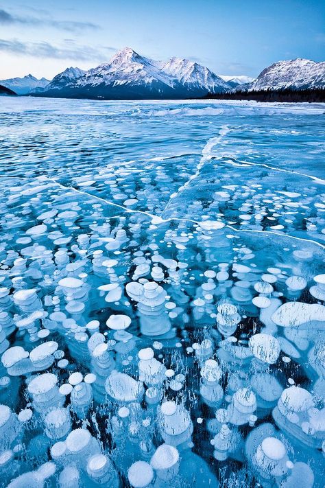 Flammable ice bubbles : frozen bubbles of methane, trapped beneath Alberta's Lake Abraham. Canadian Lakes, National Geographic Photo Contest, Frozen Bubbles, Abraham Lake, Frozen Lake, National Geographic Photos, Natural Phenomena, Alam Yang Indah, Amazing Nature