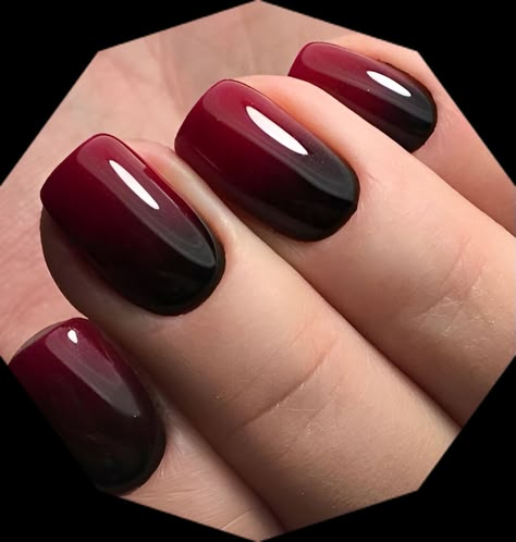 Black And Red Nail Designs, Classic Red Nails, Vampy Nails, Red Ombre Nails, Red And Gold Nails, Black White Nails, Maroon Nails, Fall Nail Trends, Ombre Nail Designs