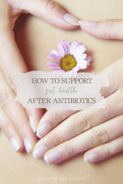 How To Support Gut Health After Antibiotics Healing Gut After Antibiotics, Healing Your Gut After Antibiotics, Post Antibiotic Diet, Restore Gut Health After Antibiotics, Homemade Cough Remedies, Holistic Therapy, Immunity Boost, Probiotic Benefits, Healing Foods