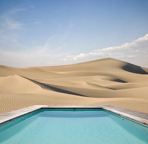 2,012 Swimming Pool Desert Photos and Premium High Res Pictures - Getty Images Desert Pool, Desert Photos, Pool Design, Swimming Pool Designs, Design Board, Pool Designs, Stock Pictures, Royalty Free Photos, Swimming Pool