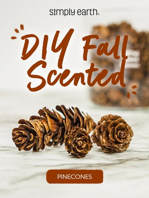 The holidays are a great time to bring the family together, but sometimes it can be stressful and expensive. We don't always have enough time or money to do fun activities as a family. 💯 Our DIY Fall Scented Pinecones are easy, fun, and inexpensive to make. This pinecone craft will keep you busy this weekend while you enjoy quality time with your children! 🍂 Scented Pine Cones, Coffee Essential Oil, Scented Pinecones, Wellness Board, Simply Earth, Bushel Baskets, Diy Scent, Loose Leaf Teas, Autumn Recipes