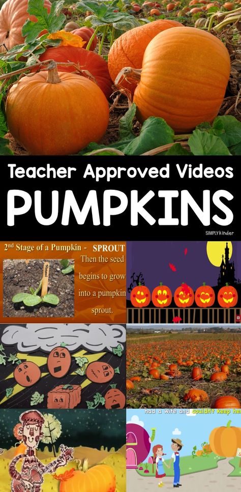 Teacher Approved Pumpkin Videos for Kids Pumpkin Lessons, Pumpkins Kindergarten, Pumpkin Unit, October Classroom, October School, Pumpkin Day, Halloween Kindergarten, Pumpkin Activities, Fall Lessons