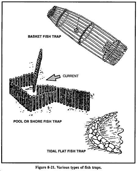 Fish traps Fishing Traps, Survival Fishing, Fish Trap, How To Fish, Apocalypse Survival, Survival Techniques, Survival Life, Types Of Fish, Survival Food