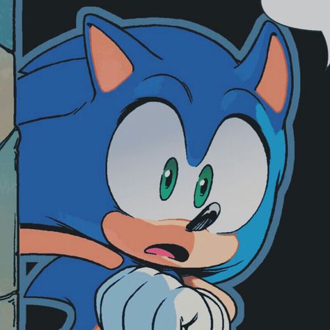 sonic the hedgehog / sonic the hedgehog comic IDW Sonic Pfp, Sonic The Hedgehog Comic, Sonic Idw, Sonic Icon, Sonic Comic, The Hedgehog Sonic, Sonic Sonic, Sonic 3, Sonic And Friends