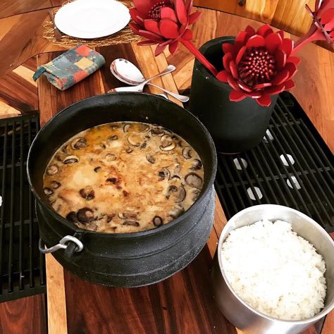 Cream Mushroom Chicken Potjie (User Submitted) Cream Mushroom Chicken, Potjiekos Recipes, Potjie Recipes, Cream Of Mushroom Chicken, Cheese Dipping Sauce, Big Pots, Quick Meal Ideas, Cold Weather Comfort Food, Favorite Recipes Chicken