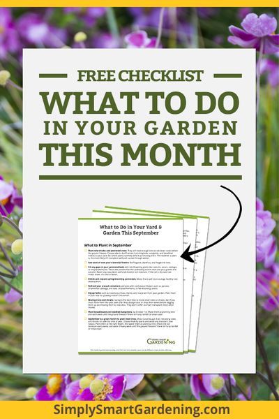 Not sure what needs to be done in the garden this month? Download my free yard & garden checklist. You'll get a list of everything you might need to do this month. It includes tasks for your fruit and vegetable garden, herb garden, flower garden, as well Fruit And Vegetable Garden, Garden Checklist, Vertical Vegetable Garden, Garden Calendar, Backyard Vegetable Gardens, Smart Garden, Garden Planner, Garden Maintenance, Garden Pests