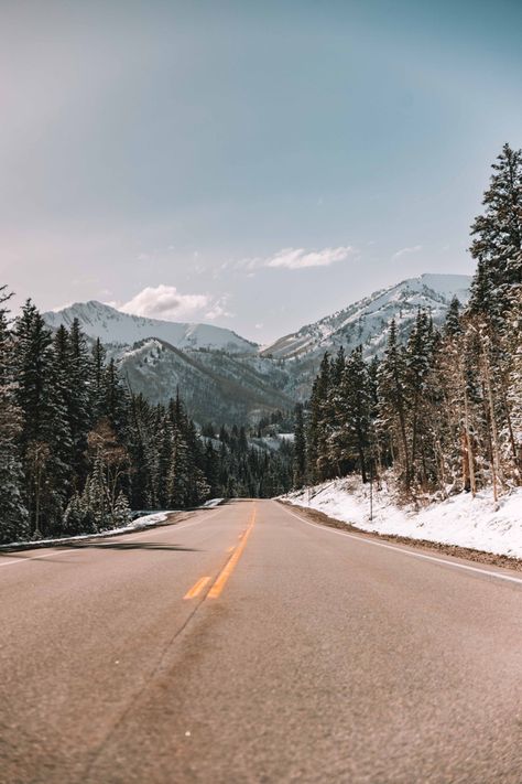 Utah Skiing Aesthetic, Snowy Mountains Aesthetic, Photography Wallpaper Aesthetic, Utah Snow, Utah Winter, Skiing Aesthetic, Trees Photography, Mountain Aesthetic, Utah Skiing