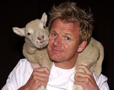 But also looking adorable and innocent with a tiny little lamb. | 33 Things Only Chef Gordon Ramsay Can Get Away With Spinach Stuffing Recipe, Madras Recipes, Gordon Ramsay Funny, Chicken Madras, Chef Ramsey, Chef Gordon, Chef Gordon Ramsay, Importance Of Food, Lamb Roast