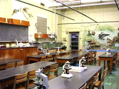 My old biology classroom Arlington High School Arlington Heights, IL Closed in 1984 due to being "unsafe"  Private Christian school now Teacher Aesthetic Science, Environmental Science Classroom Decor, Biology Classroom Aesthetic, Christian School Aesthetic, Aesthetic Science Classroom, Biology Classroom Ideas High School, Science Classroom Aesthetic, 2000s Classroom, Biology Teacher Aesthetic