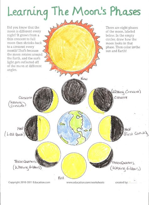 Moon Phases Worksheet, Moon Phase Project, Space Activities For Preschoolers, Oreo Moon Phases, Moon Phases Activities, Moon Activities, Space Activities For Kids, Moon Projects, Counting For Kids