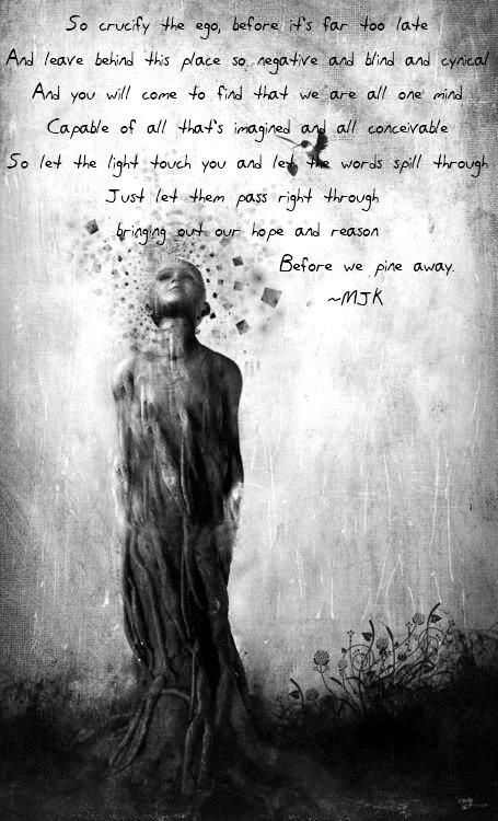 So crucify the ego, before it's far too late To leave behind this place so negative and blind and cynical, And you will come to find that we are all one mind Capable of all that's imagined and all conceivable. Just let the light touch you And let the words spill through And let them pass right through Bringing out our hope and reason  Before we pine away.  Reflection by TOOL Tool Lyrics, Fiction Painting, Tool Maynard, Cameron Gray, Trippy Mushroom, Maynard James Keenan, Vision Art, Alex Grey, Tool Band