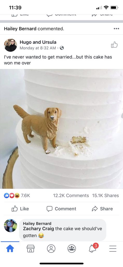 Golden Retriever Cake Topper, Golden Retriever Cake, Golden Retriever Wedding, Just Married Cake, Married Cake, I Am Baker, Dog Cakes, Win A Trip, Learning Photography