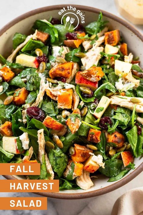 Fall harvest salad with chicken, sweet potatoes, apples, cranberries, pumpkin seeds, goat cheese, and tossed with a creamy orange vinaigrette. Full of flavors and textures and perfect for autumn. Harvest Chicken Salad, Cold Chicken Salads, Chicken Sweet Potatoes, Fall Harvest Salad, Meal Rotation, Orange Vinaigrette, Chicken Caesar Pasta Salad, Fall Salad, Salad With Chicken