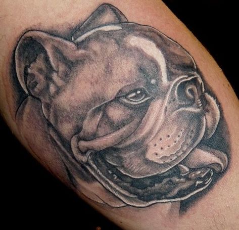 English Bulldog Tattoo Ideas, Bulldog Tattoo Ideas, English Bulldog Tattoo, Grey Bulldog, Bulldog Images, French Bulldog Tattoo, Dachshund Tattoo, Bulldog Tattoo, Tattoos For Dog Lovers