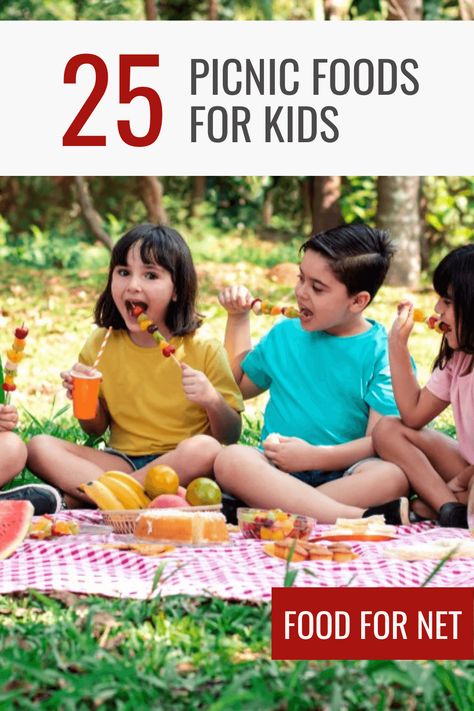 Picnic Foods For Kids, Picnic Food Kids, Kids Picnic Foods, Kids Picnic Parties, Toddler Picnic, Picnic Meals, Chicken Sushi, Homemade Jerky, Cheese Whiz