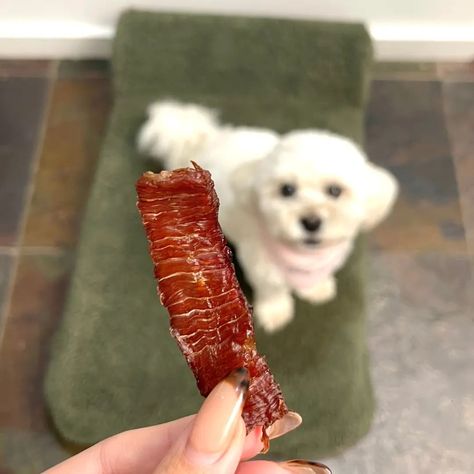 Homemade Beef Jerky Easy Oven Treat Recipe for Dogs - Dog Child Salmon Jerky Recipe, Homemade Beef Jerky Recipe, Jerky For Dogs, Beef Jerky Recipe, Homemade Beef Jerky, Jerky Recipe, Ground Beef Chili, Making Jerky, Doggy Treats