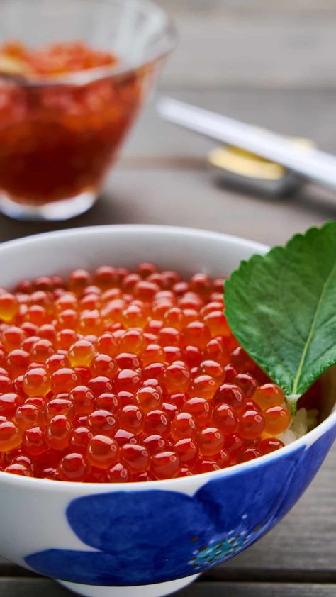 Ikura don with homemade ikura (salmon roe) on a hot bowl of rice. Ikura Recipe, Asian Potluck, Healing Gut, Japanese Home Cooking, Beef With Broccoli, Cured Salmon, Bowl Of Rice, Best Asian Recipes, Salmon Eggs