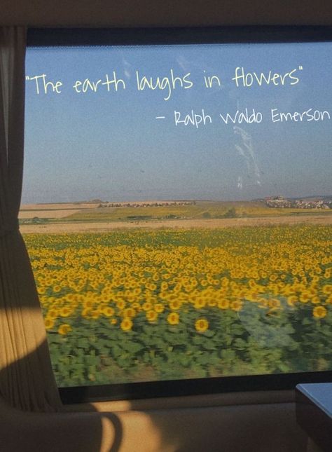 #flowers #quote #aesthetic The Earth Laughs In Flowers, Earth Laughs In Flowers, The Great Gatsby, Quote Aesthetic, The Earth, Flowers