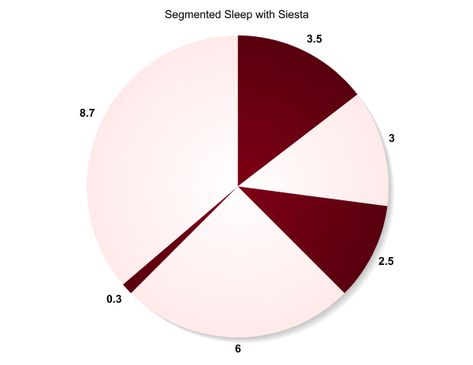 Polyphasic Sleep, Best Post Workout Food, 5 Hours Of Sleep, 6 Hours Of Sleep, 4 Hours Of Sleep, Cycling For Beginners, Lighting Pattern, Quiet Activities, Sleep Schedule