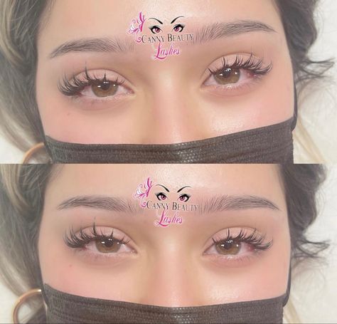 Lashes Round Eyes, Eyelash Extensions Downturned Eyes, Eyelashes For Downturned Eyes, Lashes On Round Eyes, Downturned Eyes Lash Extensions, Lashes For Downturned Eyes, Cat Eyelash Extensions, Bambi Lashes, Natural Eyelash Extensions Asian Eyes