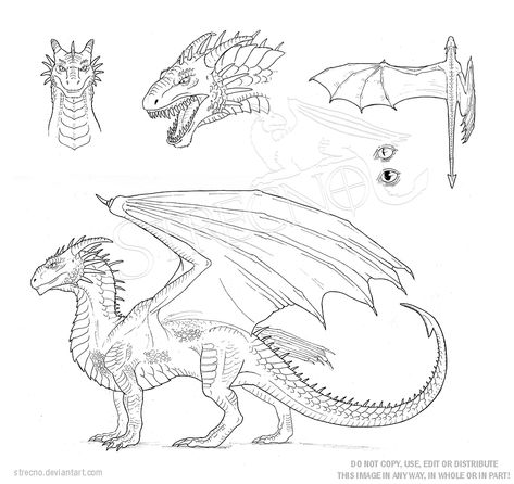 Dragon Character Sheet Template by Strecno.deviantart.com on @DeviantArt Dragon Profile Drawing, Dragon Model Sheet, Dragon Character Sheet, Dragon Turnaround, Dragon Side View, Dragon Template, Dragon Anatomy, Character Sheet Template, Dragon Tales