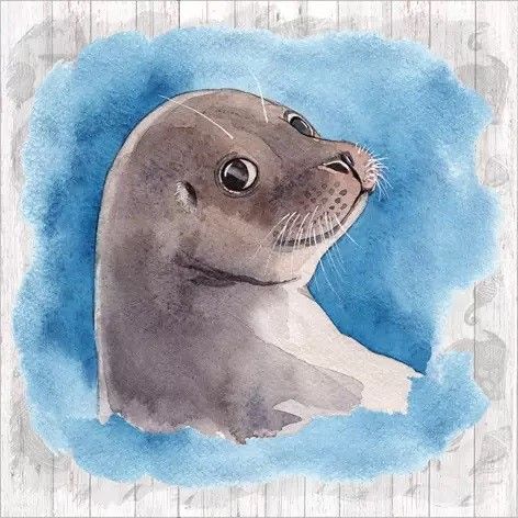 Sea Seal, Napkins For Decoupage, Paper Napkins For Decoupage, Paper Napkins, Decoupage, Napkins, Scrapbooking, Design