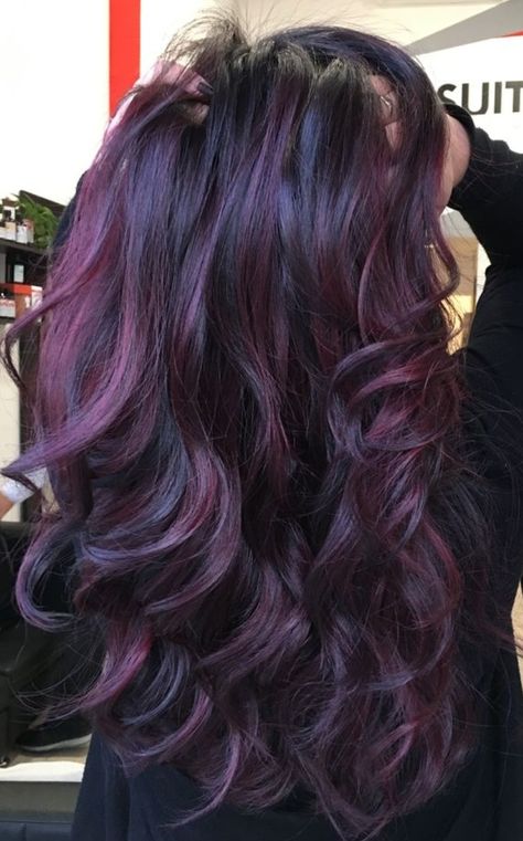 Dark Brunette Balayage Hair Purple, Blackberry Highlights On Brown Hair, Dark Purple Baylage Hair, Purple Hair For Dark Hair, Violet Bayalage Hair, Blackberry Hair Colour With Highlights, Eggplant Highlights On Dark Hair, Dark Hair With Purple Undertones, Dark Purple Highlights Dark Hair