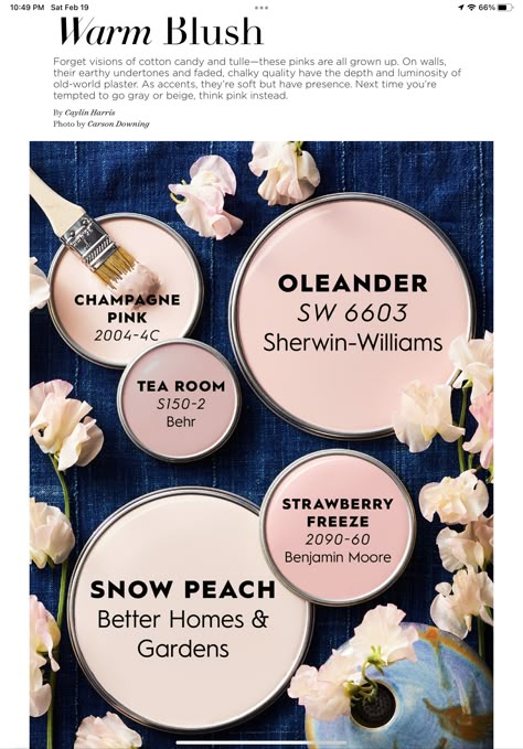 home decor home home decor ideas home design home office home improvement home garden home decoration home ideas home accessories home kitchen home renovation home living home decorating home organization home interior home fragrance home inspiration home decor living room home business home depot home interior design home decor styles home style home furniture home painting ideas home paint colors home paint ideas home paint color home painting projects home paint projects home paint schemes Ash Rose Behr Paint, Blush Sage Color Palette, Pink Paint For Bedroom Walls, Exterior Pink Paint Colors, Rose Pink Room Decor, Blush Pink Coordinating Colors, Feminine Office Space Bohemian, Pink Paint For Bathroom, Farmhouse Pink Paint Colors