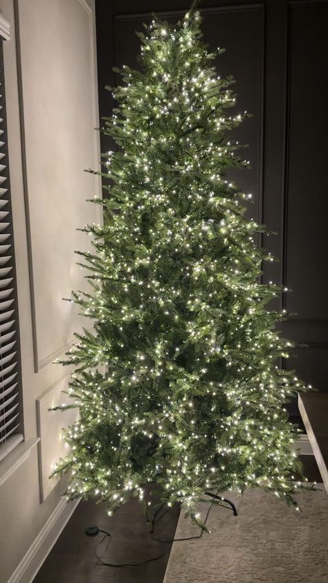 12 ft. Pre-Lit LED Grand Duchess … curated on LTK Grand Duchess Christmas Tree, 12 Ft Christmas Tree, Frosted Christmas Tree, Twig Tree, Amazing Decor, Pine Branch, Home Decorators Collection, Twinkle Lights, Christmas Home