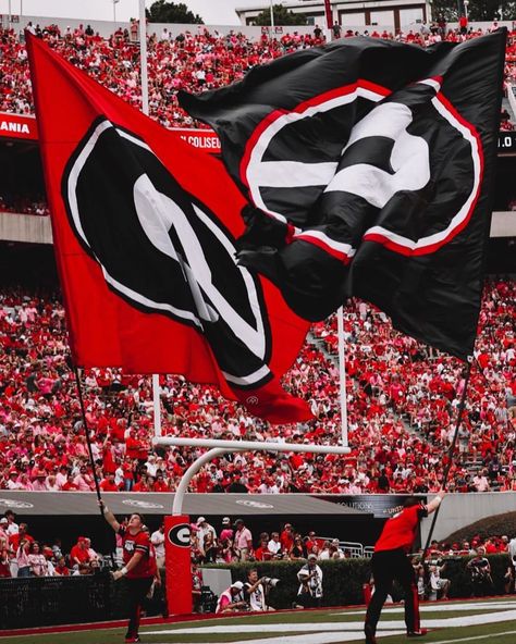 Dawg Nation, you are unlike any other!! Next up, Notre Dame at home with an 8 p.m. kickoff!! 🏈 #GoDawgs Georgia Bulldogs Aesthetic, Uga College Aesthetic, Uga Wallpapers, Ugh Wallpaper, University Of Georgia Aesthetic, Uga Aesthetic, Georgia Bulldogs Wallpaper, Football Vibe, Ga Football