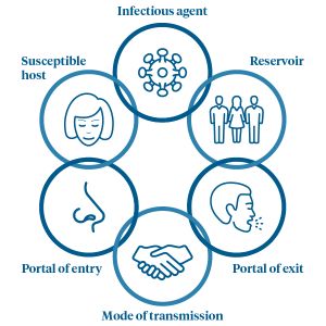 Chain Of Infection Poster Ideas, Infection Prevention Posters, Chain Of Infection Poster, Infection Control Posters, Urine Formation Notes, Formation Of Urine Notes, Chain Of Infection, Urine Formation, Poster Drawing Ideas