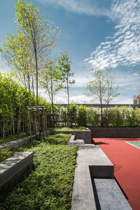 Tennis Court Backyard, Tennis Court Design, Roof Landscape, Garden Sketch, Private Tennis Court, Terraced Landscaping, Urban Landscape Design, Pattaya Thailand, Pickleball Court