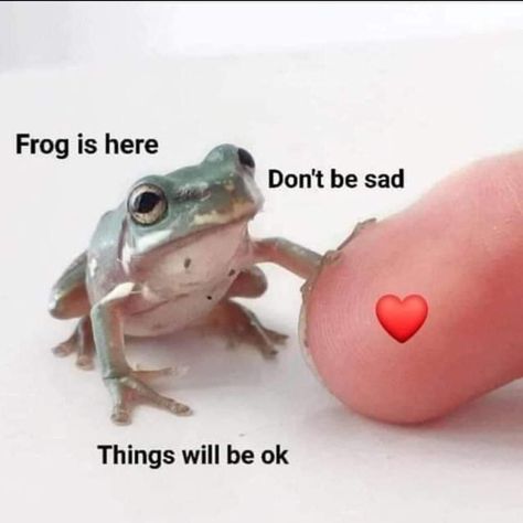 ❤️ everything will be ok | /r/wholesomememes | Wholesome Memes | Know Your Meme A Frog, The Frog, Memes, Funny, Red