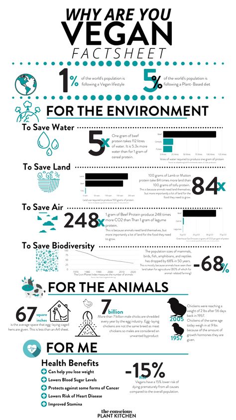 Vegan Factsheet Why should I go Vegan? For the environment, for the animals, and for me! Vegetarian Motivation, Reasons To Go Vegan, Vegan Benefits, Vegan Grocery List, Vegan Books, Vegan Facts, How To Become Vegan, Why Vegan, Vegan Quotes