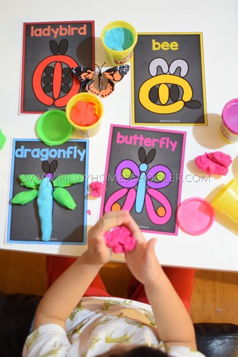 Bugs Playdough Picture Mats Nursery 2023, Learning About Insects, Insect Study, Bug Activities, Insect Unit, Insects Preschool, Bugs Preschool, Insect Activities, Insect Crafts