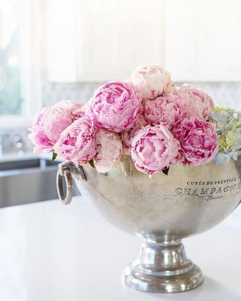 Beautiful Peonies & How to Make them Last Longer! Wine Bucket Stand, Beautiful Peonies, Peonies Centerpiece, Make Your Own Wine, Peonies And Hydrangeas, Champagne Bucket, Wine Bucket, Diy Deco, Silver Vase