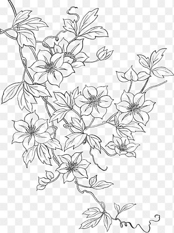 Embroidery Drawing, White Floral Decor, Flowers Doodle, Handkerchief Embroidery, Leaf Png, Japan Flower, Doodle Png, Paper Flower Patterns, Flower Line Drawings