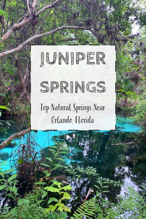 Juniper springs Florida Juniper Springs Florida, Blue Springs State Park, Kelly Park, Ocala National Forest, Beautiful Florida, Glass Bottom Boat, Florida Springs, Rock Springs, Springs Florida