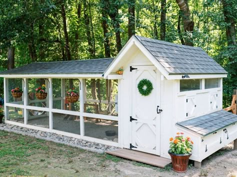 Chicken Coop & Run Enclosure Building Plans Walk in Secure Backyard Chicken Coop for 10-12 Chickens Digital Download DIY Plans - Etsy Chicken Coop Building Plans, Chicken Coop Building, Walk In Chicken Coop, Cute Chicken Coops, Coop Run, Chicken Coop Garden, Backyard Chicken Coop Plans, Backyard Chicken Coop, Diy Chicken Coop Plans