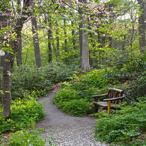 Lake House Backyard, Wooded Backyard Landscape, Woods Garden, Wood Path, Boston Garden, Shade Garden Design, Video Garden, Sloped Garden, Better Homes And Garden