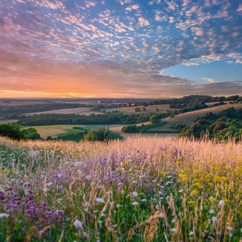 The South Downs, The Peak District and Bannau Brycheiniog (the Brecon Beacons) are just 3 of the UK's National Parks. Read our guide to the full 15 (link in our bio) and don't forget to nominate for the National Park Protector Awards 2024 with @campaign4parks . Which is your favourite National Park? #Nationalparks #Breconbeacons #peakdistrict #southdowns #nature #uknationalparks Countryside Photography, Country Living Uk, Pembrokeshire Coast, South Downs, North York Moors, Best Weekend Getaways, Genius Loci, Brecon Beacons, Hiking Routes