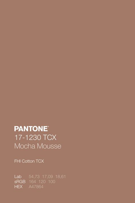 Pantone 17-1230 Mocha Mousse, Mocha Mouse Color, Color Of The Year 2025, Mocha Pantone, Mocha Mousse Pantone, 2025 Color Of The Year, Mocha Color Palette, Pantone Color Guide, Brown Pantone