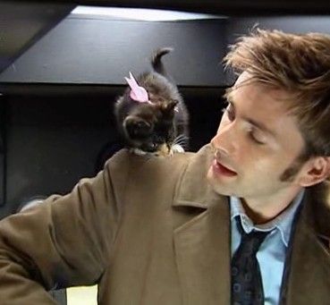 10th Doctor Aesthetic, Doctor Who Aesthetic David Tennant, The Tenth Doctor Icon, 10th Doctor Pfp, Doctor Who As Cats, David Tennant Meme, David Michael, David Tennant Doctor Who, Scottish Actors