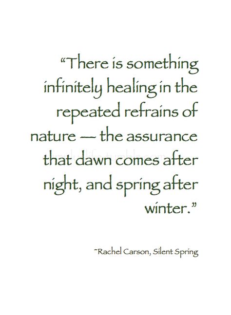 "There is something infinitely healing in the repeated refrains of nature — the assurance that dawn comes after night, and spring after winter." ~Rachel Carson, Silent Spring #Spring_Quote Rachel Carson, Spring Quotes, Forever Book, Garden Quotes, Yoga Quotes, Nature Quotes, Back To Nature, Thoughts Quotes, Great Quotes