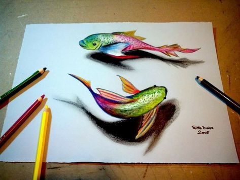 3d Fish Drawing, Chucky Drawing, Color Pencil Sketch, Prismacolor Art, Art Classroom Decor, Buddha Art Painting, Animal Drawings Sketches, Cool Pencil Drawings, Meaningful Drawings