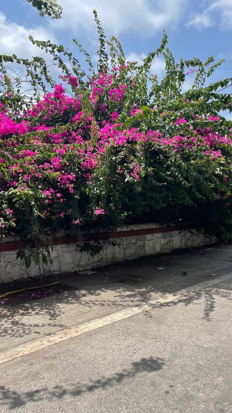 pretty pretty road <3 📍bayramji jeejeebhoy road, bandra Nature Road Background, Background Images For Editing Instagram, Photo Background Images Aesthetic, Background Images Road, Mirror Background For Editing, Background Images For Editing Landscape, Natural Background For Editing, Road Background For Editing, Nature Background Images For Editing