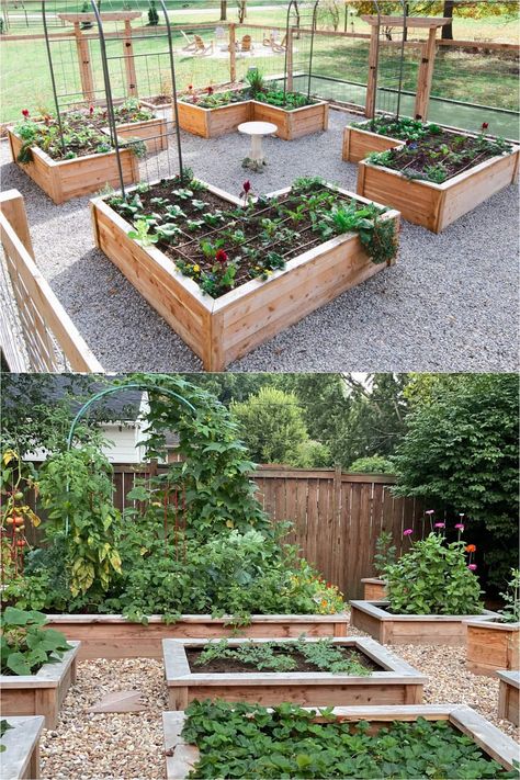 25 best vegetable garden design ideas & easy layout plans for beginners & pros to grow your own food in a front or backyard edible landscape. - A Piece of Rainbow, kitchen garden, vegetable gardening ideas, small space tips, grow your own food, herbs, homestead, homesteading, spring, summer, raised beds, trellis, greenhouse, DIY Patio Garden Layout, Fenced Kitchen Garden, Garden Box Design Layout, Home Kitchen Garden, Vegetable Garden Layout Design Raised Beds Small Spaces, Veggie Patch Ideas Raised Beds, Above Ground Vegetable Garden Boxes, Front Garden Vegetable Patch, Garden Design With Raised Beds