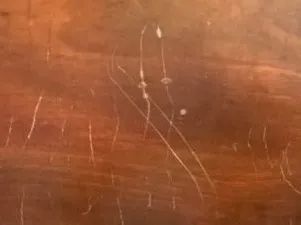 Remove Scratches From Wood, Repair Scratched Wood, Repair Wood Furniture, Restore Wood Furniture, Restore Wood, Scratched Wood, Woodworking Blueprints, Wood Repair, Furniture Fix